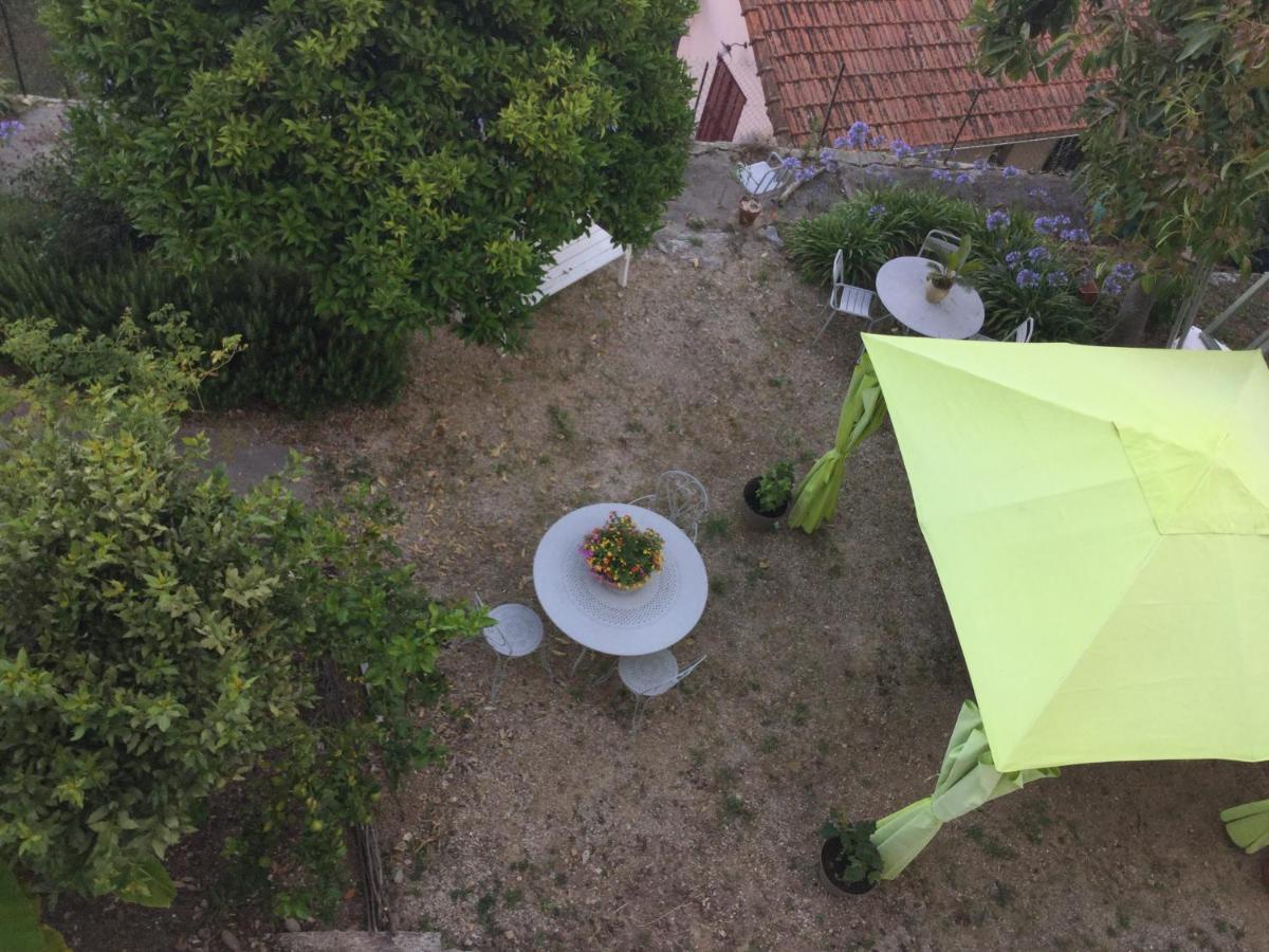 Bed and Breakfast Les Palmiers Grasse Esterno foto