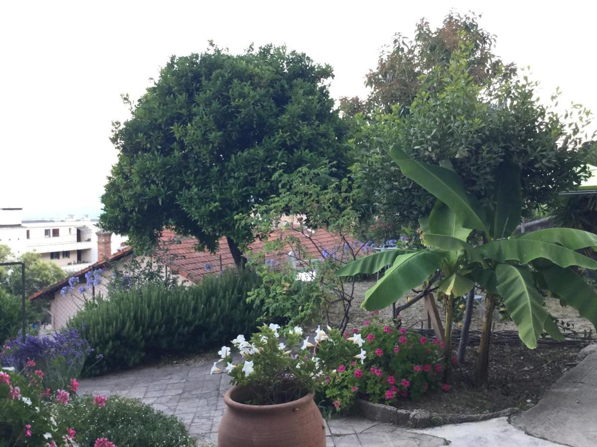 Bed and Breakfast Les Palmiers Grasse Esterno foto