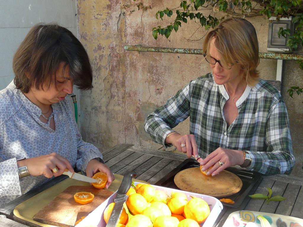 Bed and Breakfast Les Palmiers Grasse Esterno foto
