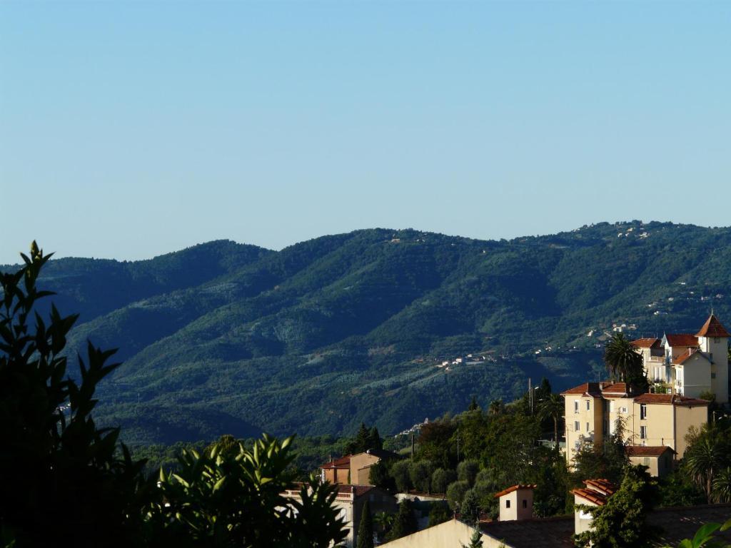 Bed and Breakfast Les Palmiers Grasse Esterno foto